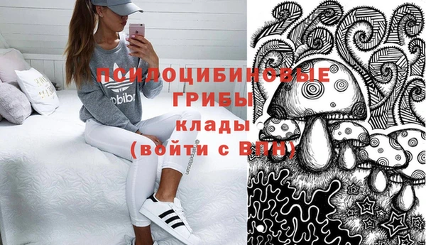 ECSTASY Инта