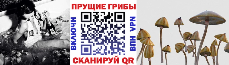 мориарти как зайти  Княгинино  Галлюциногенные грибы прущие грибы  ссылка на мегу рабочий сайт 